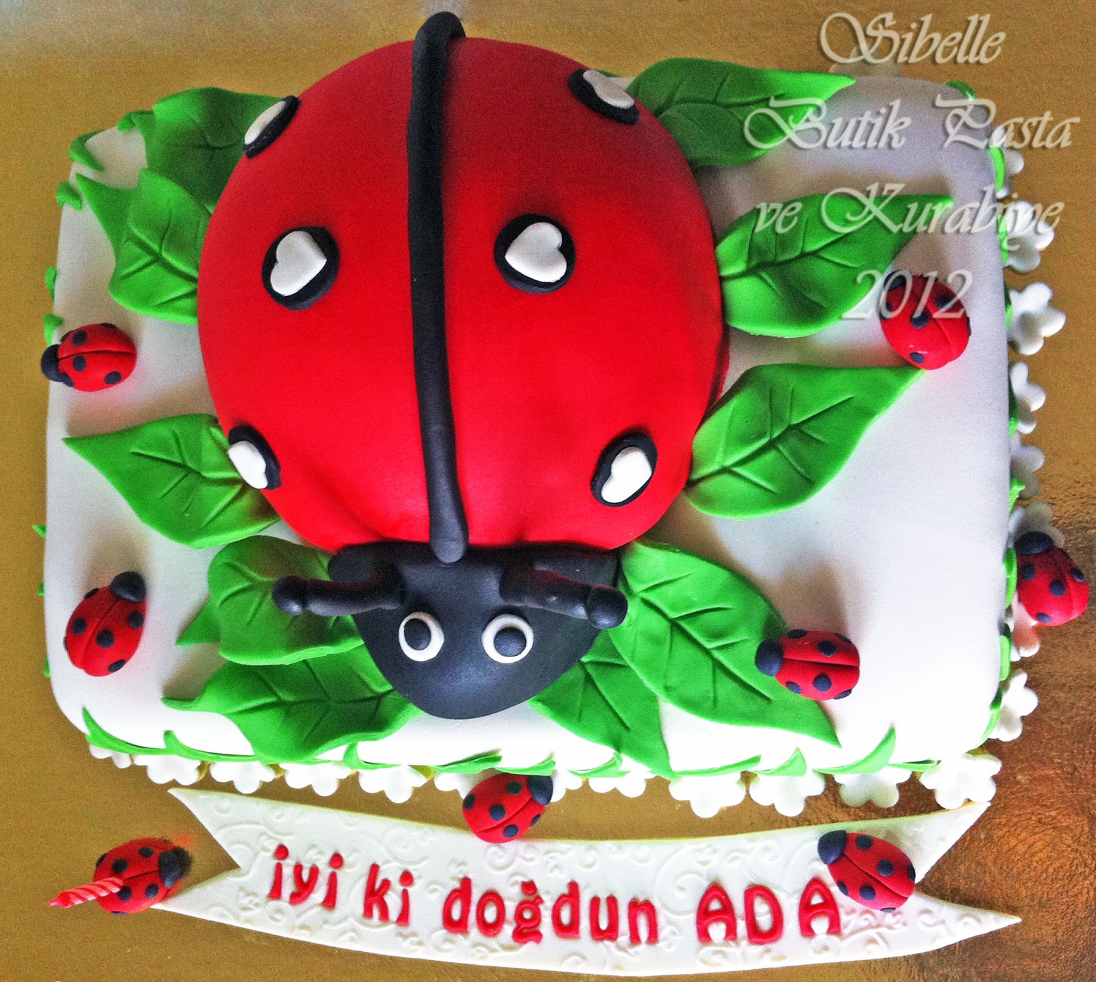 Sibelle Butik Pasta ve Kurabiye UĞUR BÖCEKLİ PASTA 9