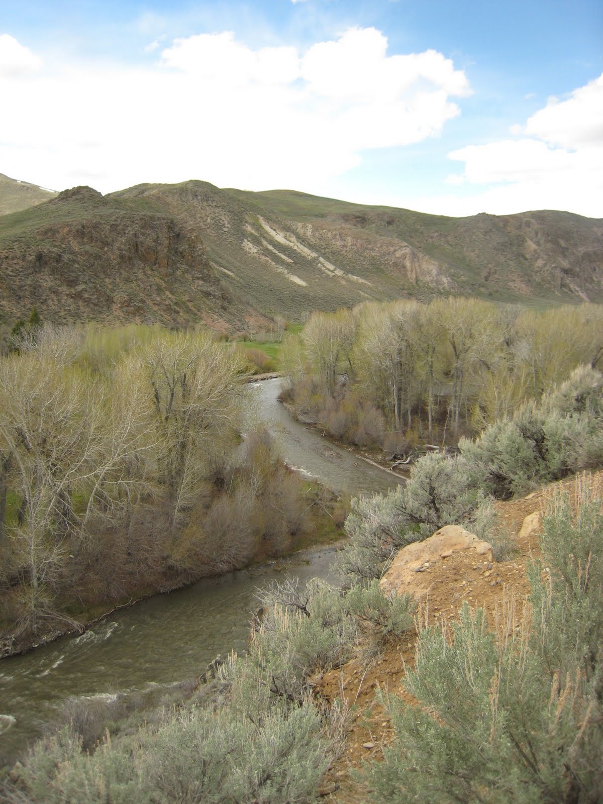 Idaho Nature Notes Flat Top Ranch Protected by Blaine County