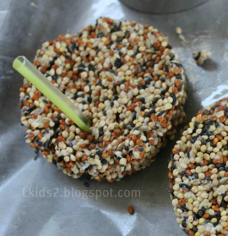 daisysnu DIY outdoor bird treats