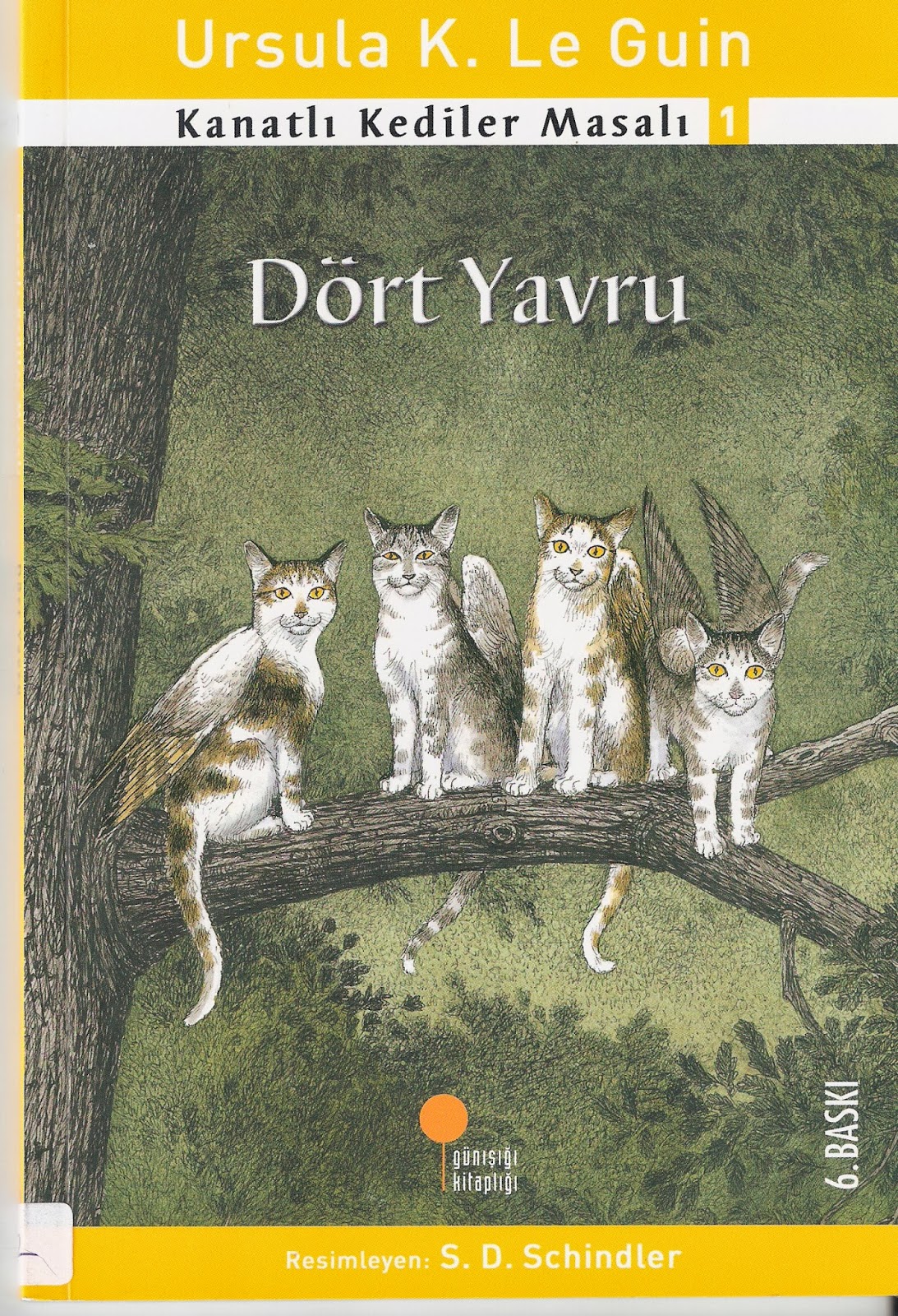 Bir kedi ne düşler yaşıyor Bir kedi ne düşler yaşıyor