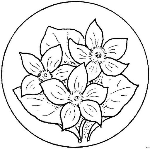Mandalas Para Pintar: mandalas de flores
