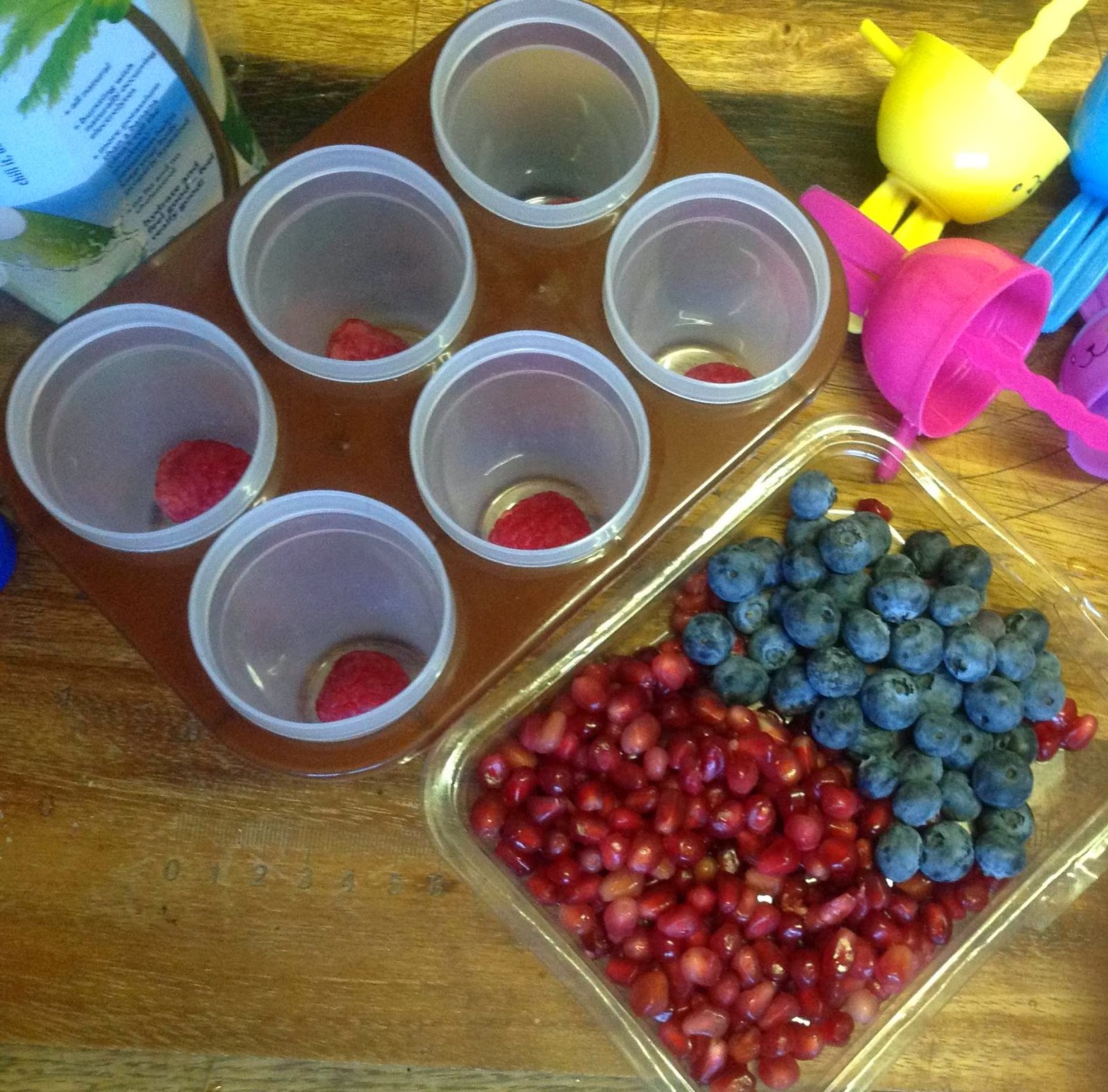 Fresh Fruit Ice Lollies!