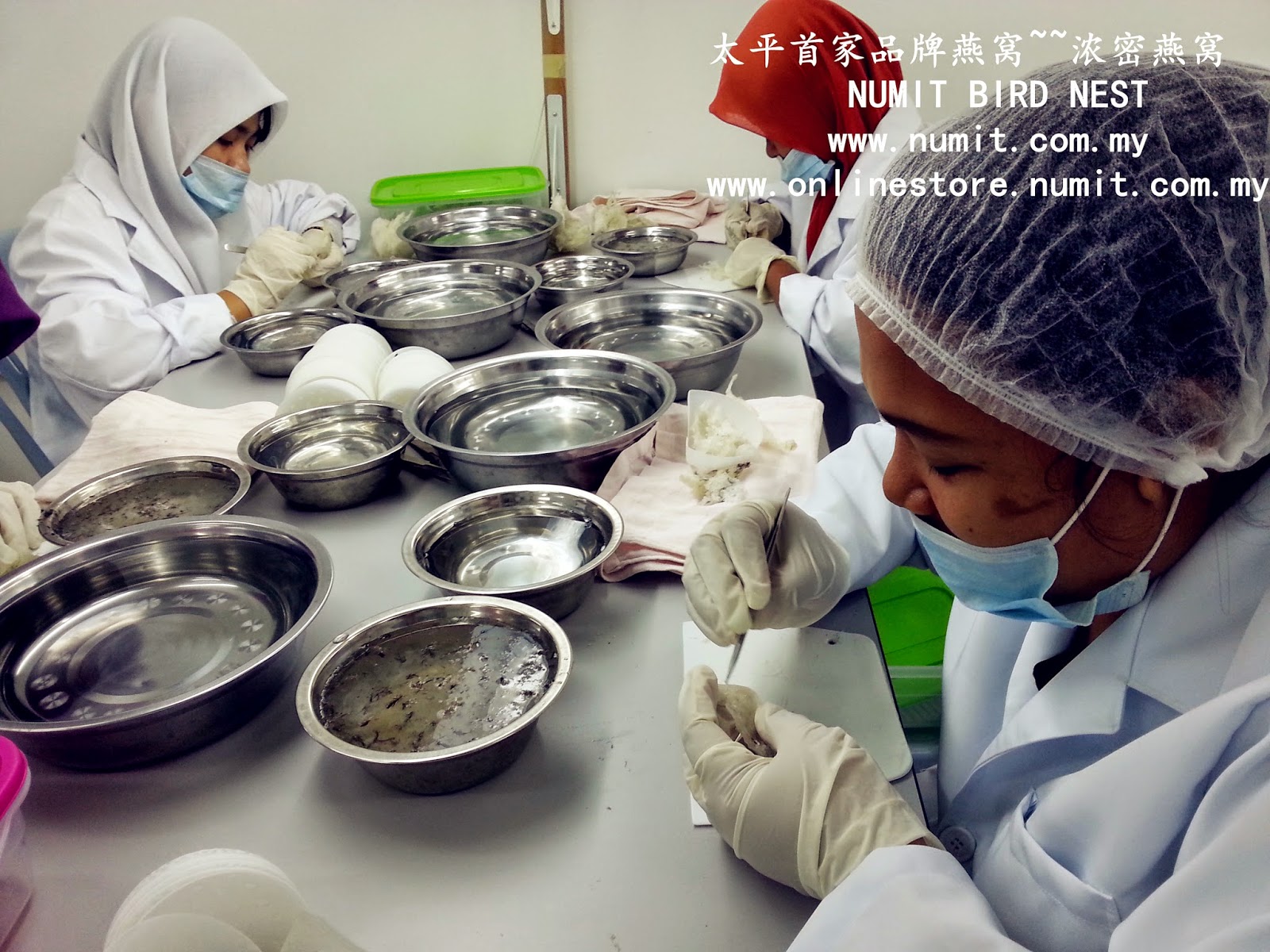 NUMIT Bird Nest 浓密燕窝 BIRD's NEST ORIGINATED FROM TAIPING, MALAYSIA