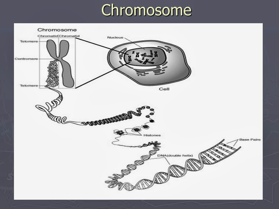 Slide 2