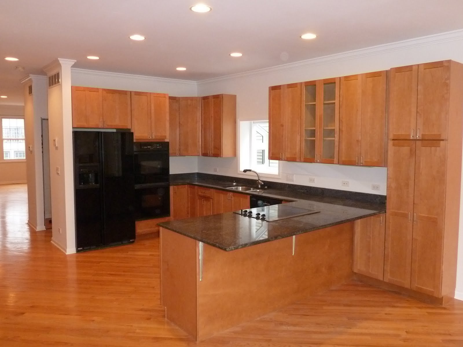 The Chicago Real Estate Local NEW Lakeview single family home for sale