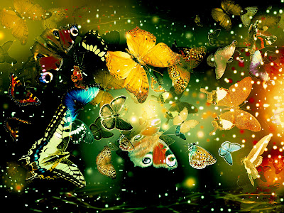 Computer Wallpaper Computer Wallpaper