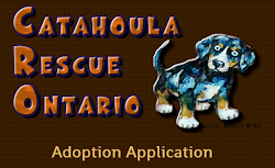 Adopt a Catahoula!