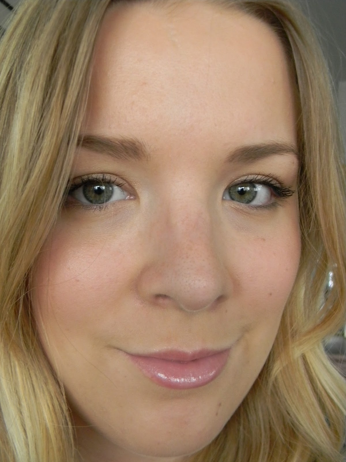 12 Steps to Fabulous MAC blush Well Dressed