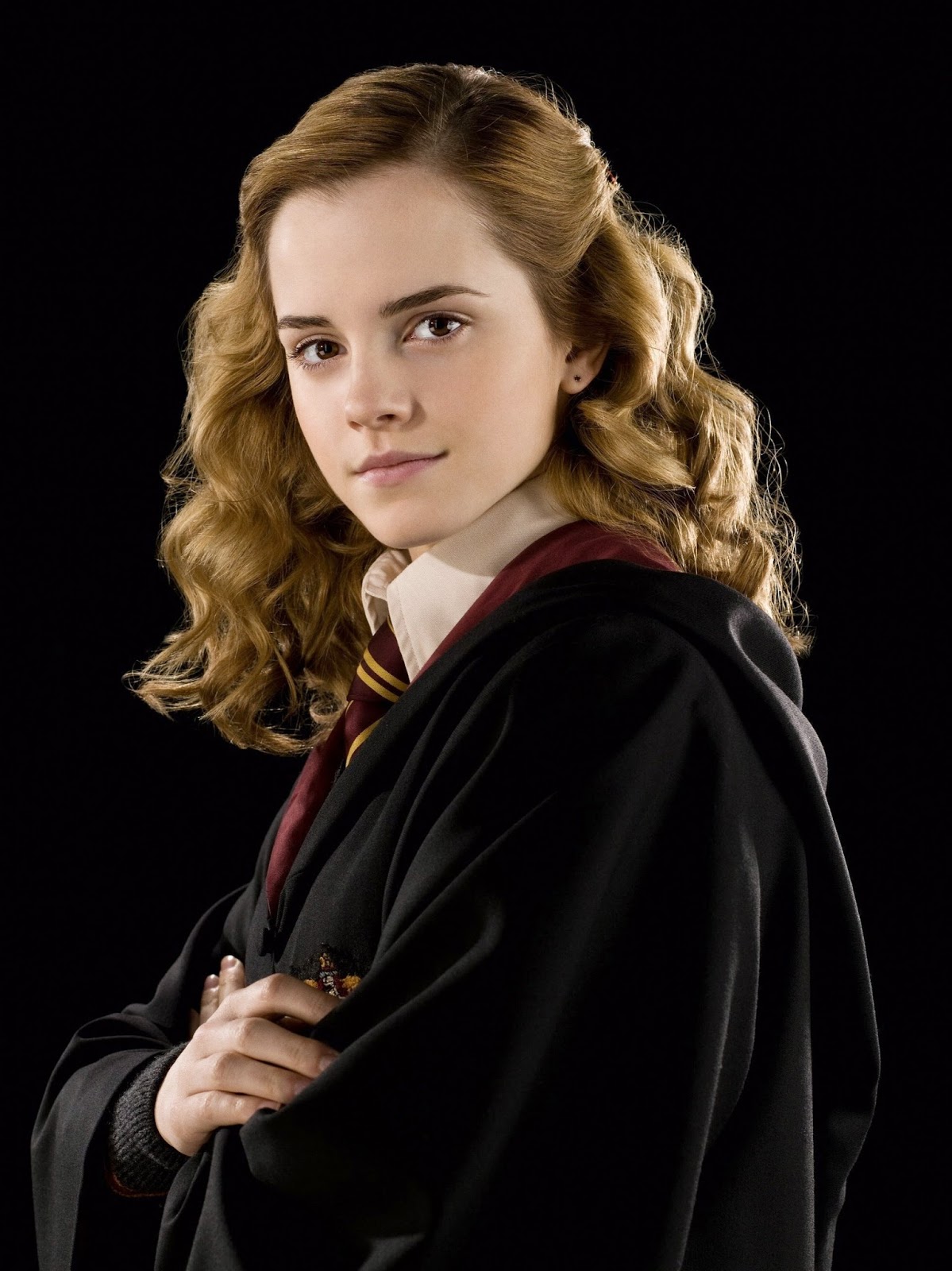 As aventuras de Harry Potter Biografia de Hermione Granger