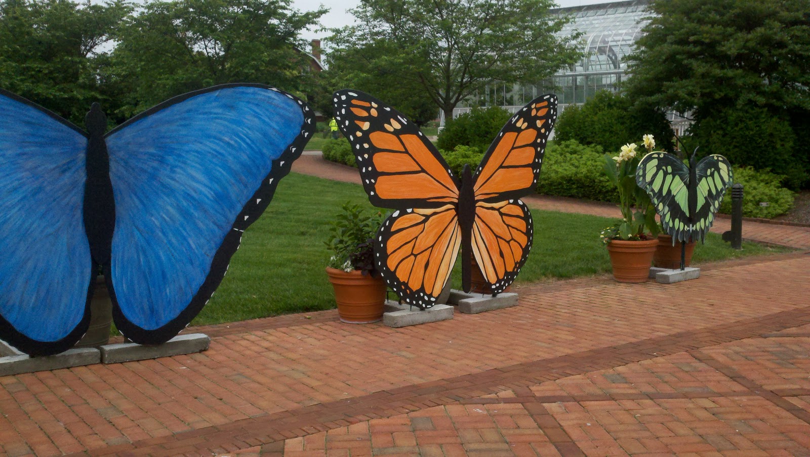 She Trippin' A New "Like" Butterflies LIVE! Lewis Ginter
