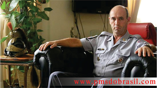 pmsdobrasil.com