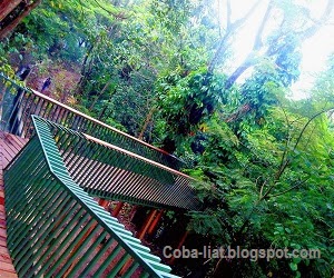 Hutan Kota Terindah dan Bersih Hutan Kota Terindah dan Bersih