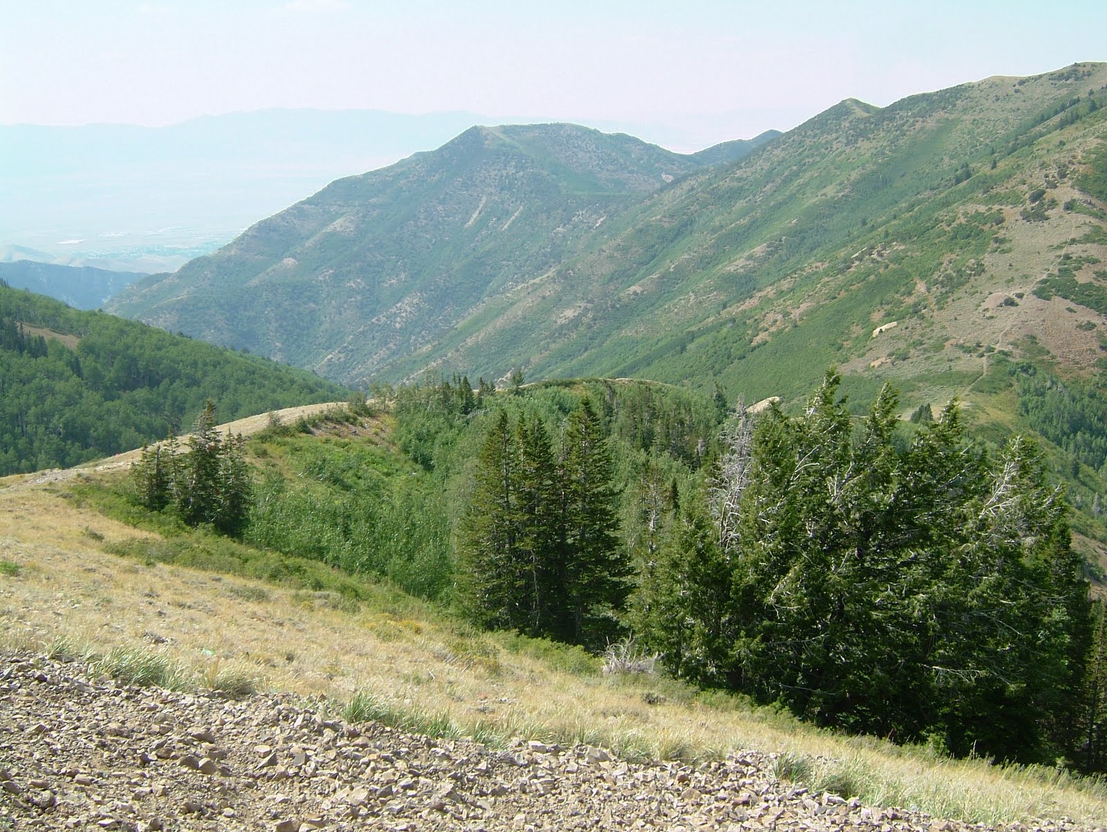 Gene's Family Tree BUTTERFIELD CANYON HISTORY