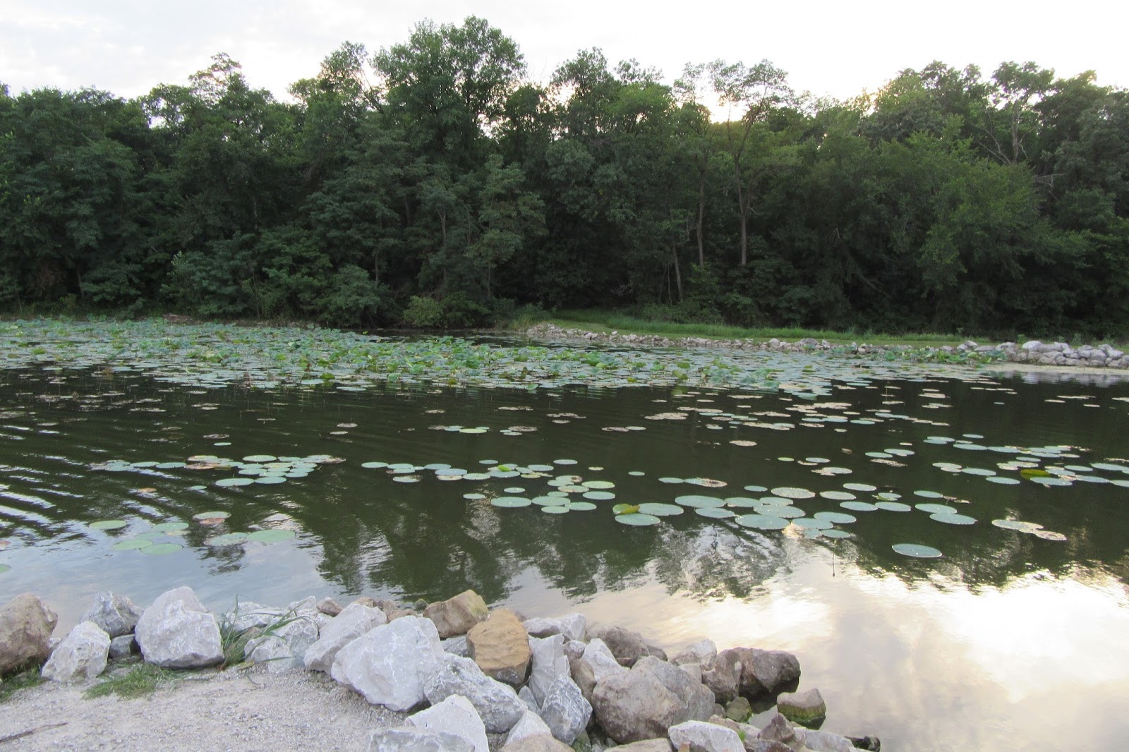 Had I The Heaven S Embroidered Cloths Swimming And Lake