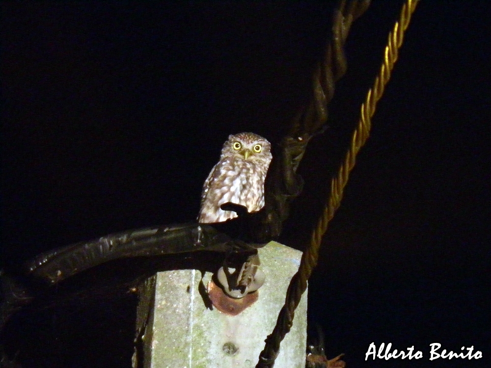 Noche sitio de citas tantra cerca de León Noche sitio de citas tantra cerca de León