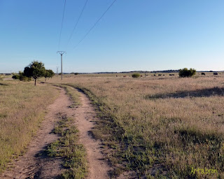 Tramo de cañada que discurre sobre el trazado de la calzada romana