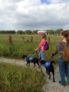 Melisa leads us again with Bo in charge. Melisa leads us again with Bo in charge.