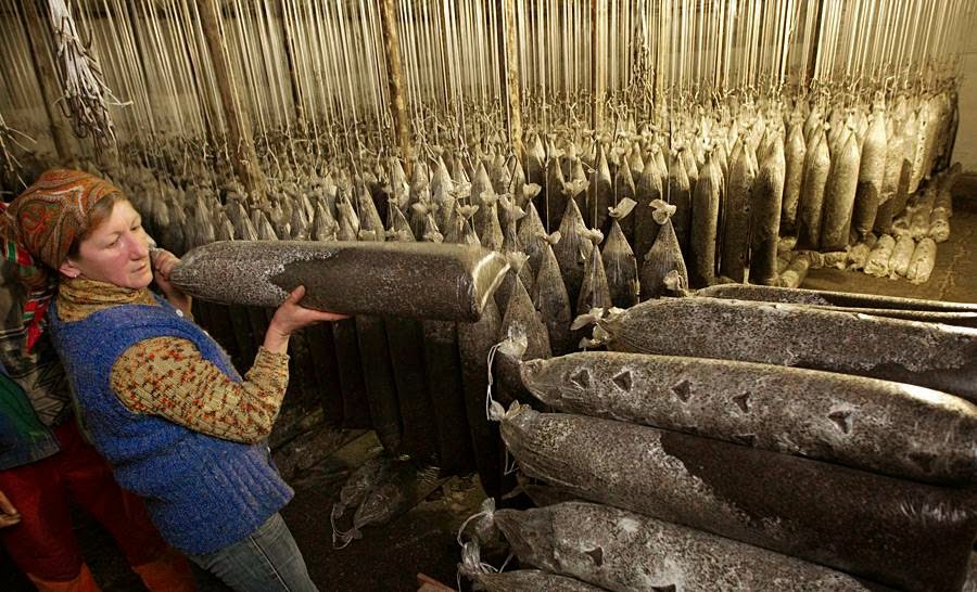 Missile Hangars for growing Mushrooms in Belarus Missile Hangars for growing Mushrooms in Belarus