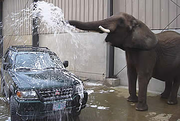 Car Wash For Sale Oregon Car Wash For Sale Oregon