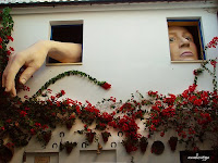 ARTE URBANO EN CORDOBA: EL PATIO DE MI CASA | 2009