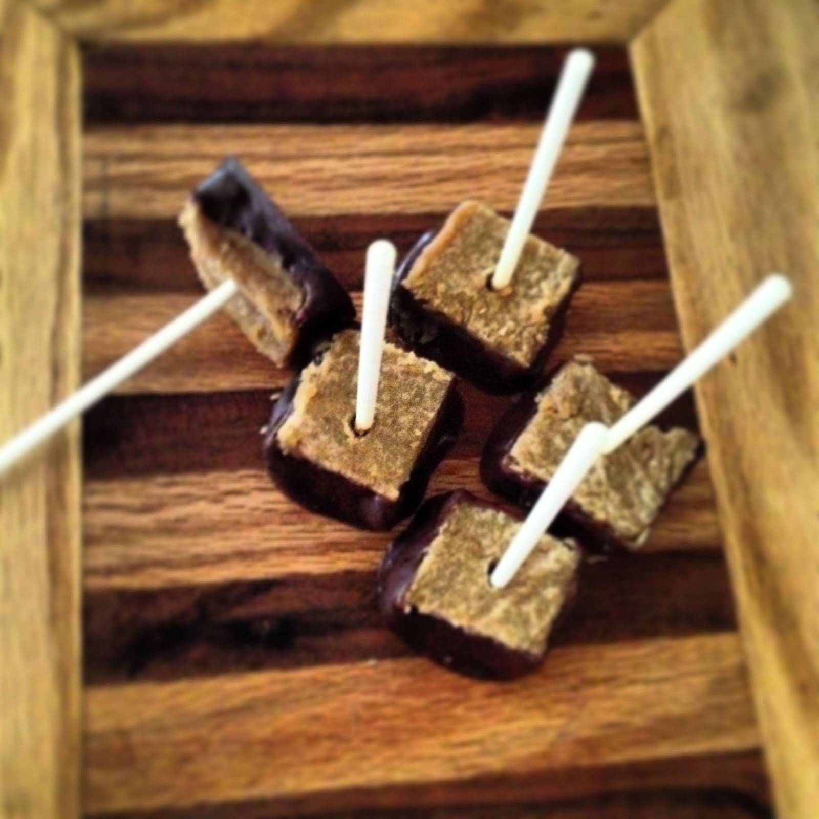 Sprigs of Rosemary Adult Treats Chocolate Covered Peanut Butter Cheesecake Pops