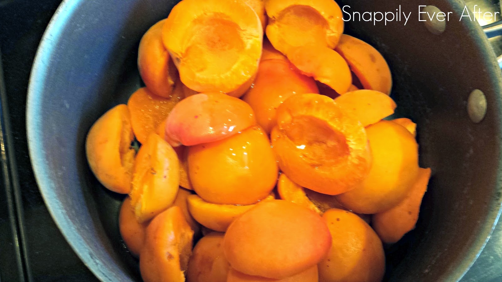 Snappily Ever After Homemade 3 Ingredient Fruit Snacks