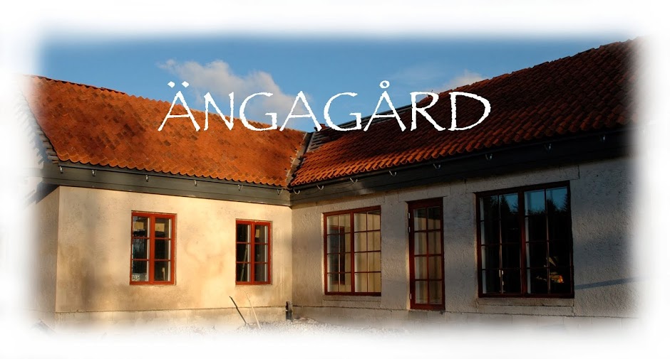 Ängagård