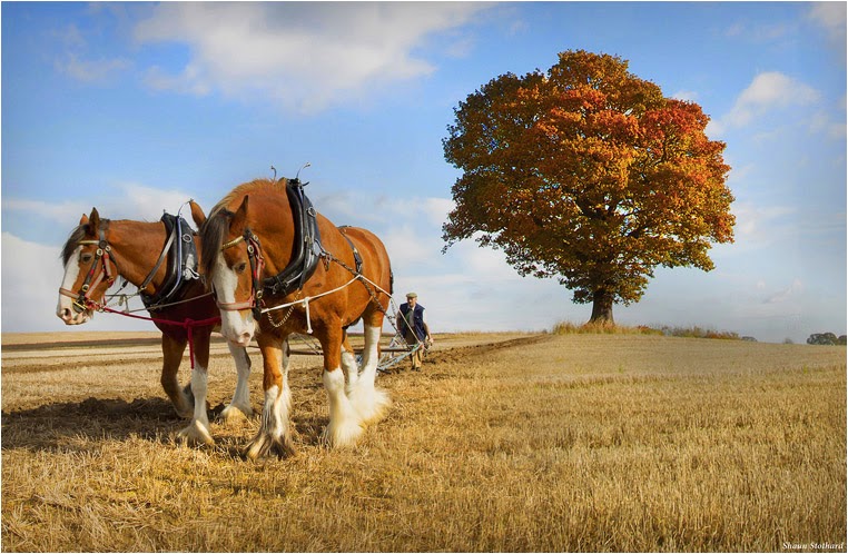 emerging photographers, Best Photo of the Day in Emphoka by Shaun Stothard, https://flic.kr/p/pBmfoR emerging photographers, Best Photo of the Day in Emphoka by Shaun Stothard, https://flic.kr/p/pBmfoR