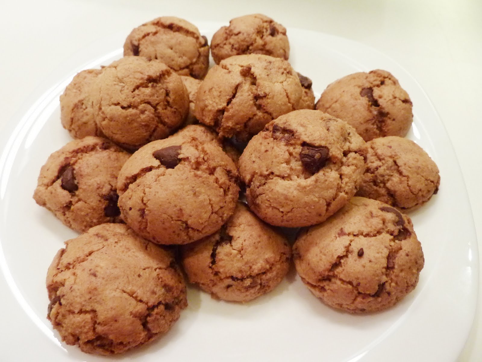 My Personal Food Journal Chocolate Chip Hard Cookies