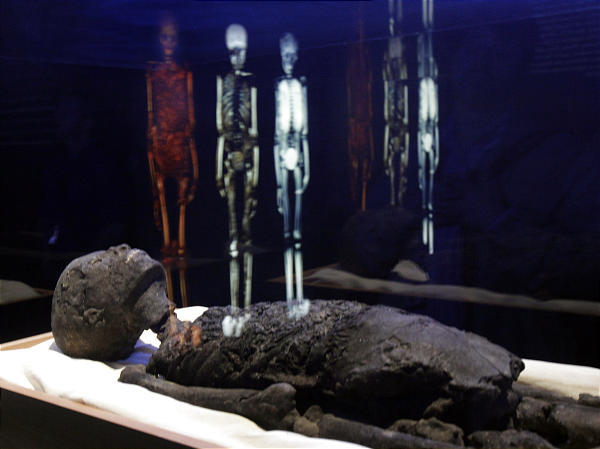 archaeology preservation of human remains what types of data are recorded on a condition of remains form