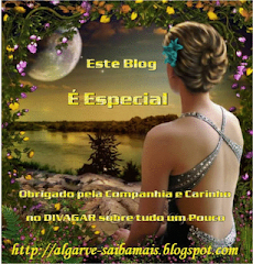 Selinho de Amizade Virtual