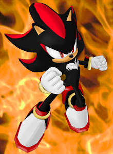 Shadow The Hedgehog