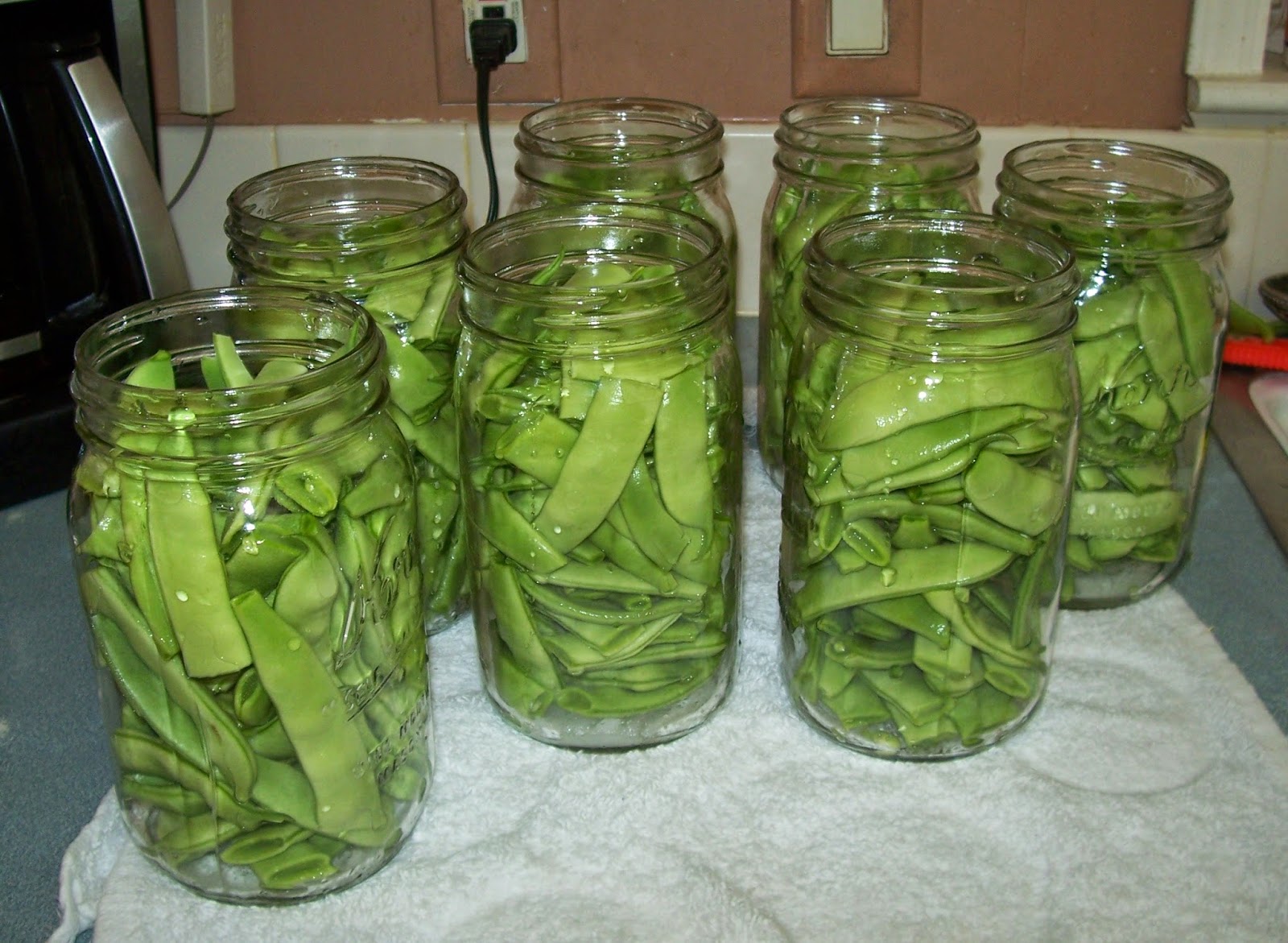 Adrienne's Corner Adventures in pressure canning Today's Romano green