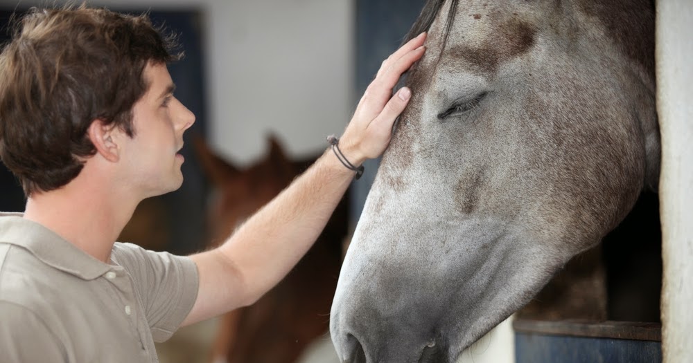 Psych News Alert Therapy With Horses Appears to Lessen Violent Incidents