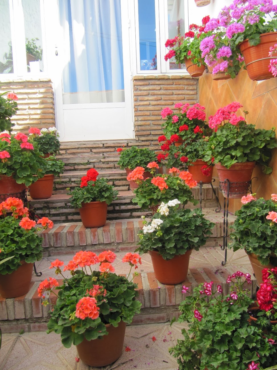 El Blog de MA: Nuevos 24 haikus e imágenes de MA