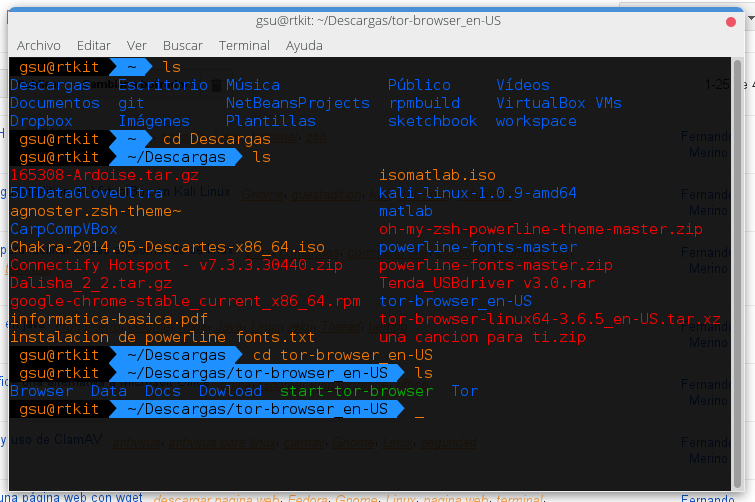 Instalar ZSH en kali Linux