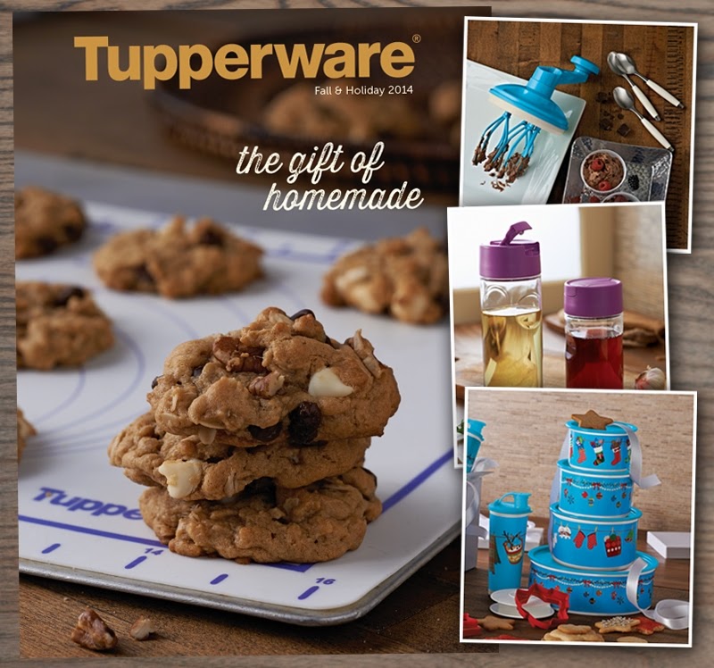 Inspiration CAN be found EVERYWHERE!: The end of a Tupperware Winter/Holiday  2014