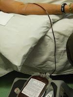 blood of my blood 2011