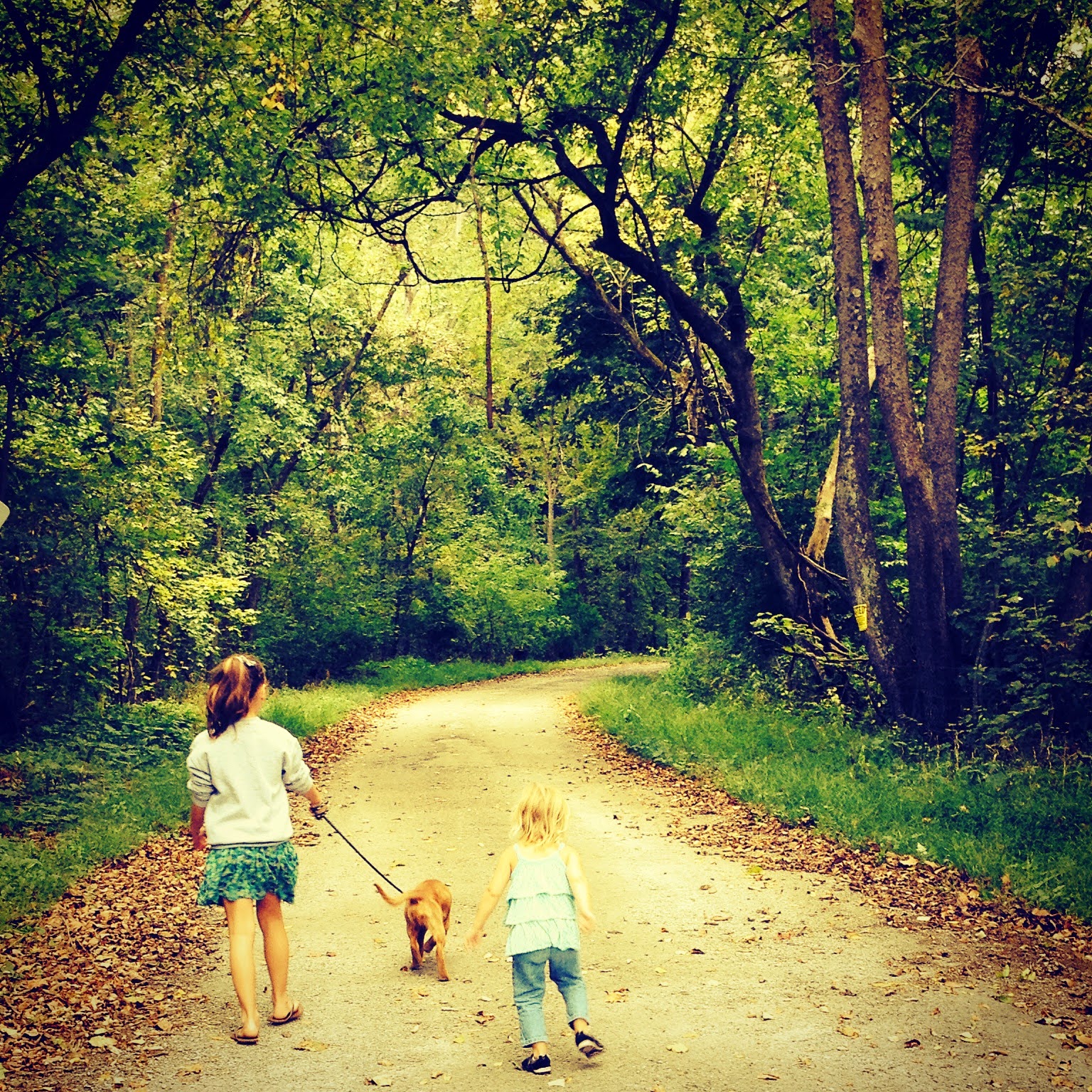 Kids Walking with the Dog in the Country Kids Walking with the Dog in the Country