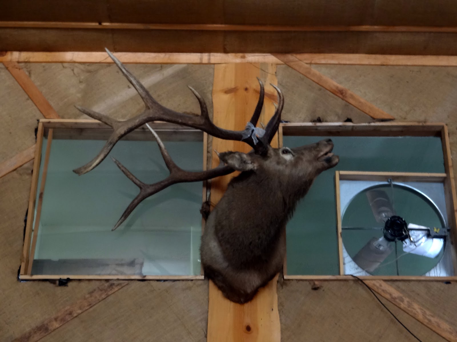 Blog 1867 Summerville's Cafe and Bar, Riggins, ID 8/25/2011