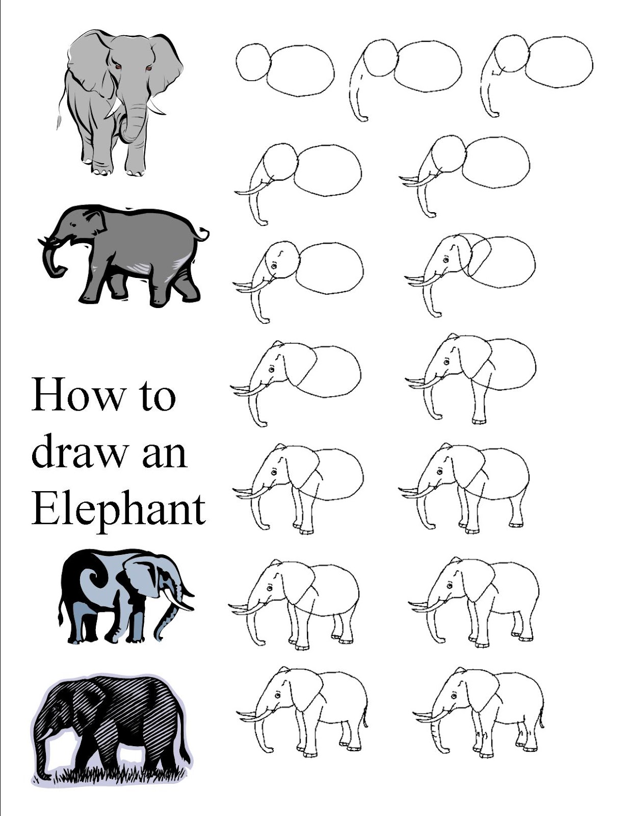 draw a elephant