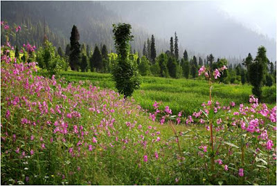 arrung kel neelum valley azad kashmir