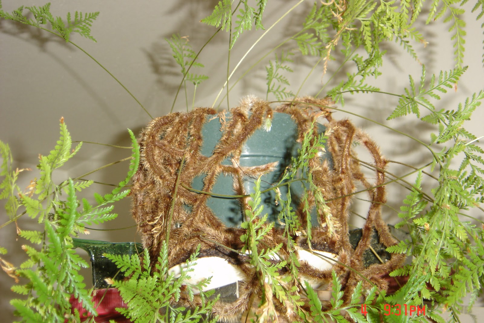 QuiltNCards Homemade Rabbit Foot Fern