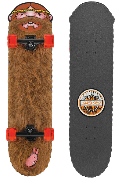 jeremy fish x santa cruz skateboards ©