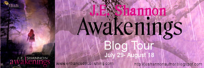 Launch Party: Awakenings by JE Shannon