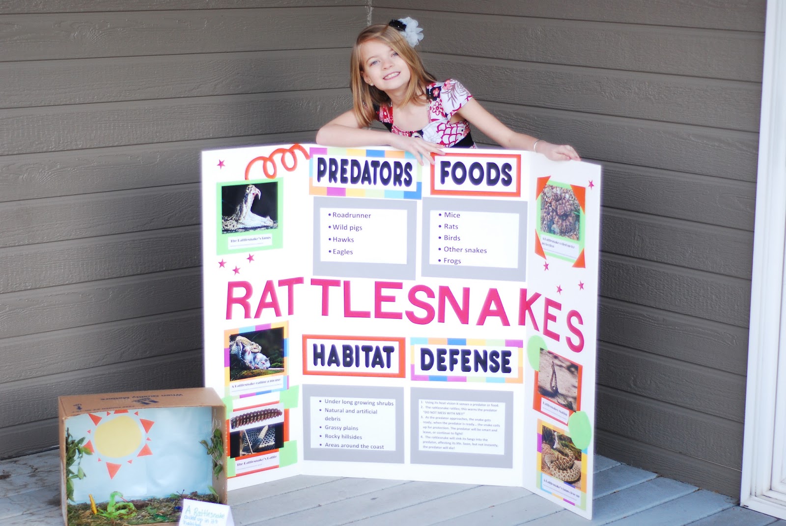 How to make a poster for school online image