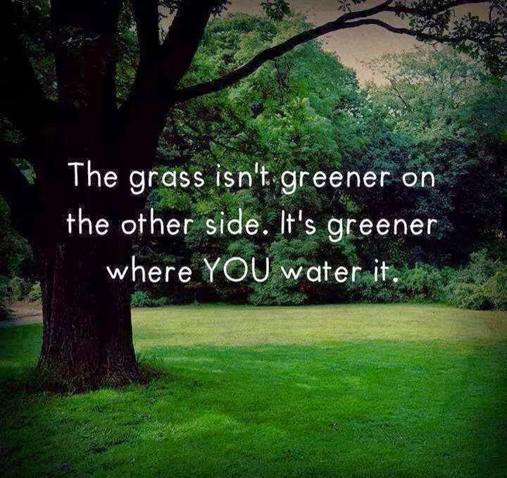 Grass is always greener on the other side metaphor image