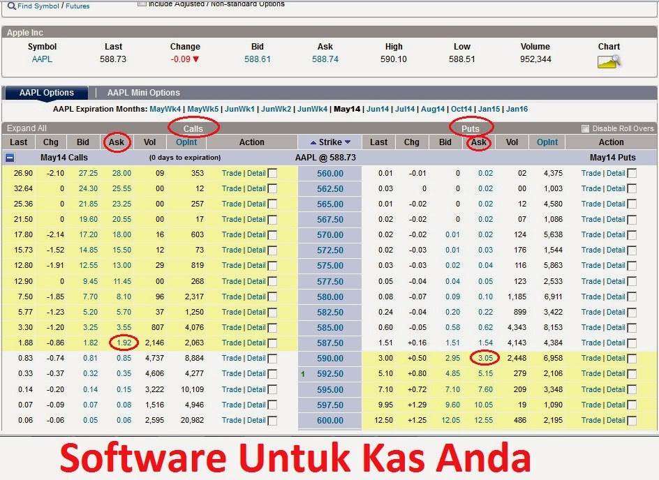 Software untuk trading option