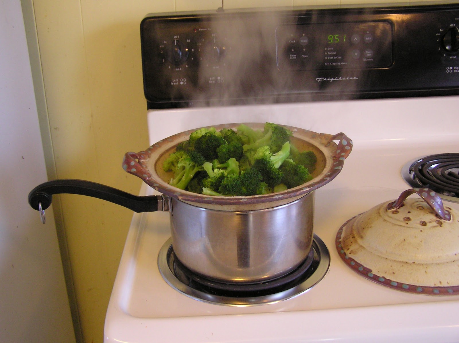 Fine Mess Pottery Stoneware Vegetable Steamer!