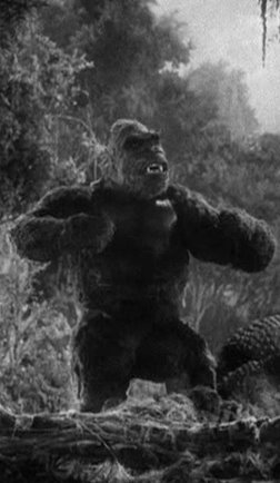 21 Essays: 13 Things We Know About Kong